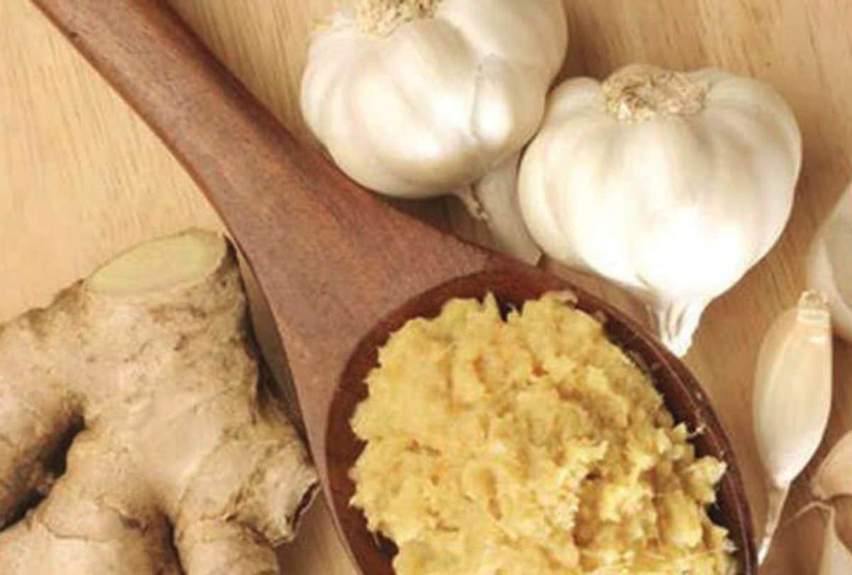 these foods are help to increase white blood cells