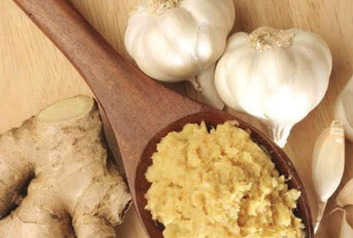 Sugar controlled in rats by use of neem turmeric ginger and garlic