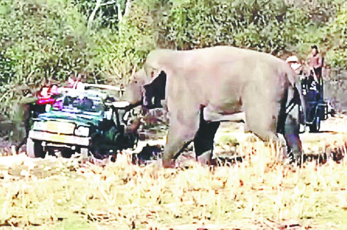Elephant attack on tourist gypsy