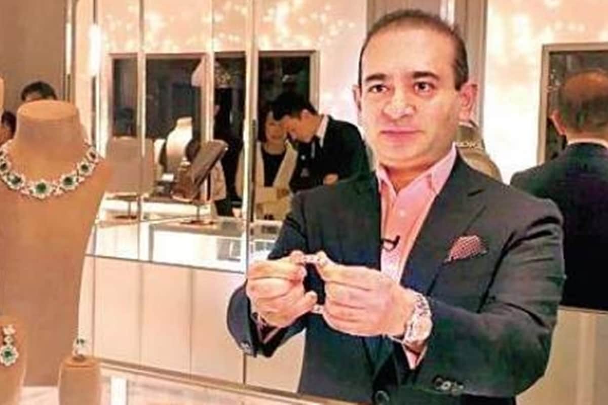 web series based on nirav modi connection with hindi film industry