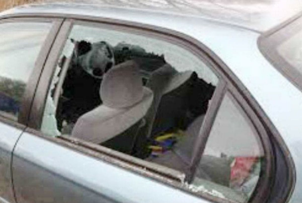 ruckus on the road after puppy dog crushed by car in agra