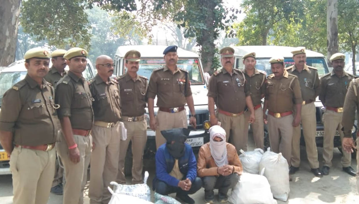 gang arrested