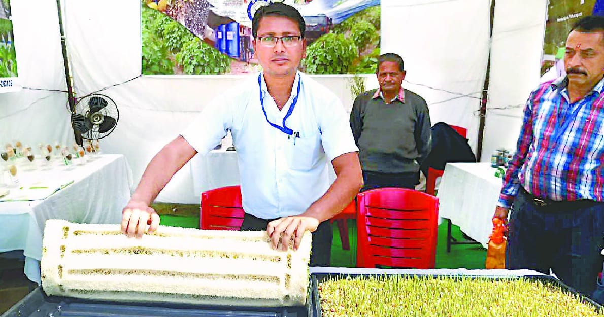 Hydroponic Technique will Boost Agriculture