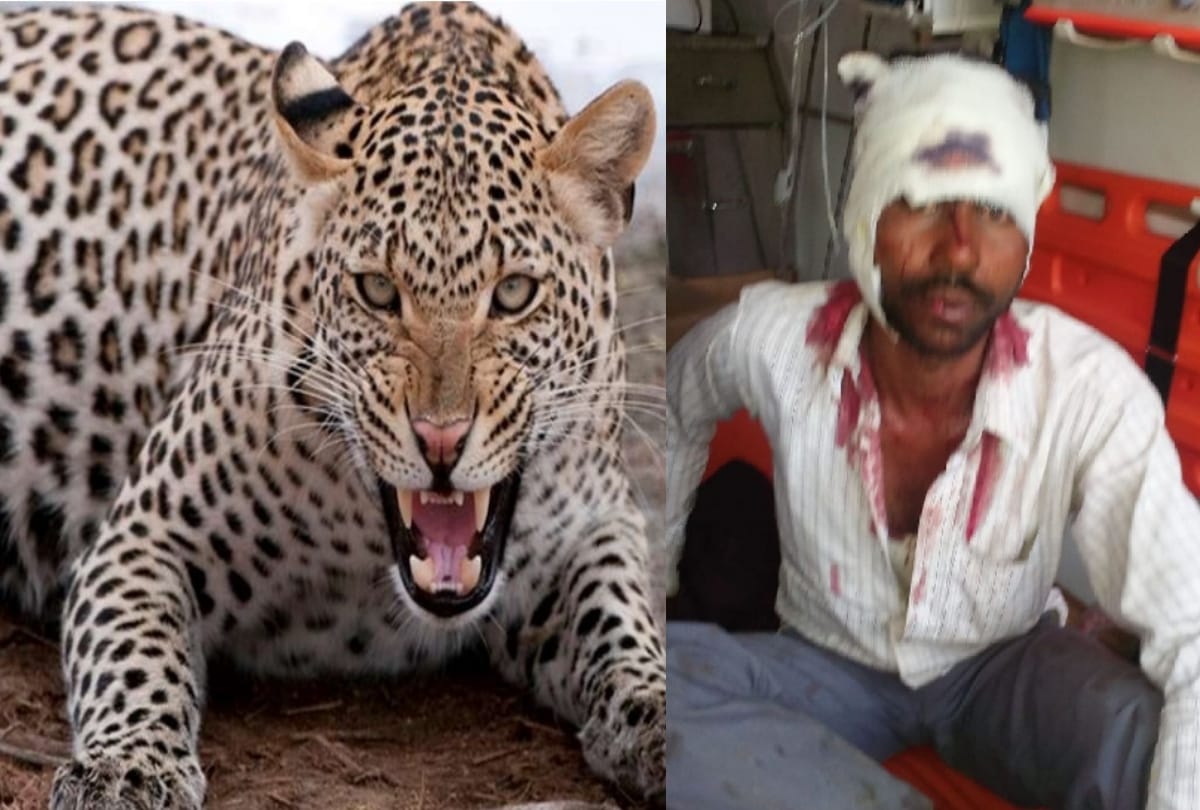 Farmer fighting for ten minutes with leopard