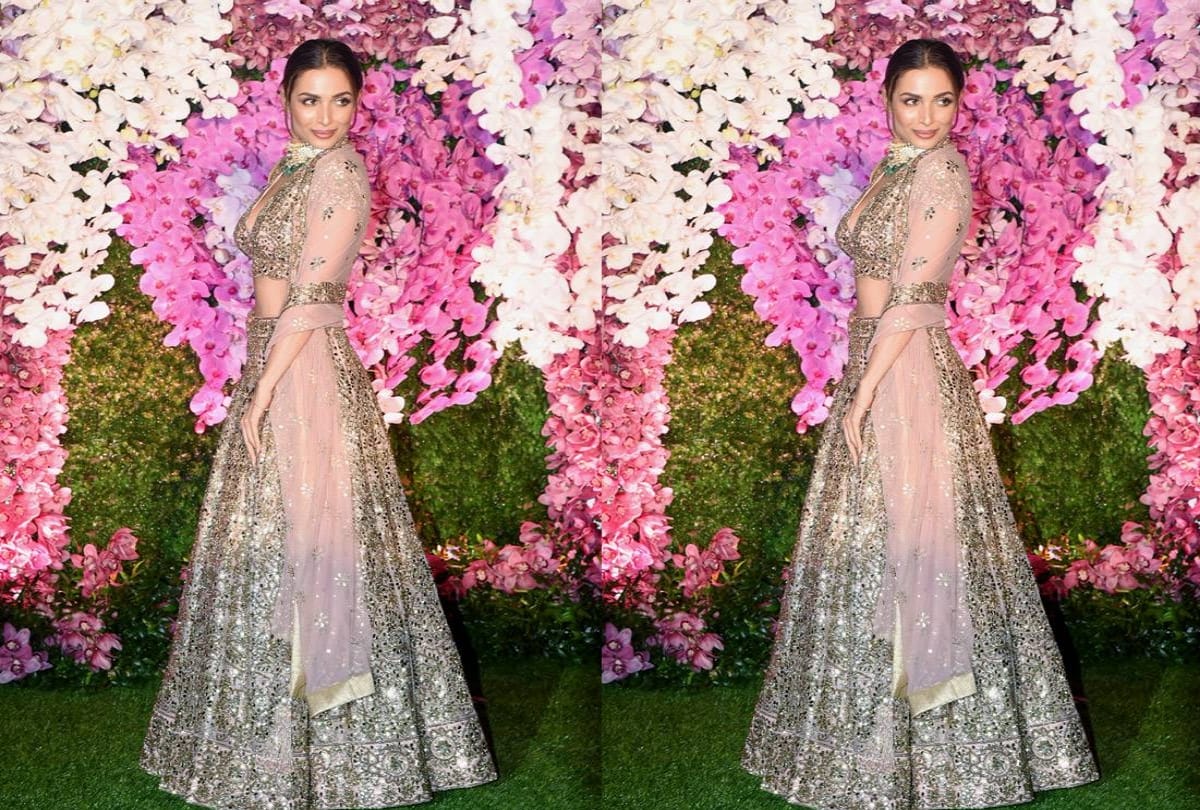 Malaika Arora and Arjun Kapoor together at Ambani wedding party