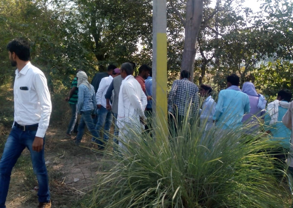 Restricted meat found in mau