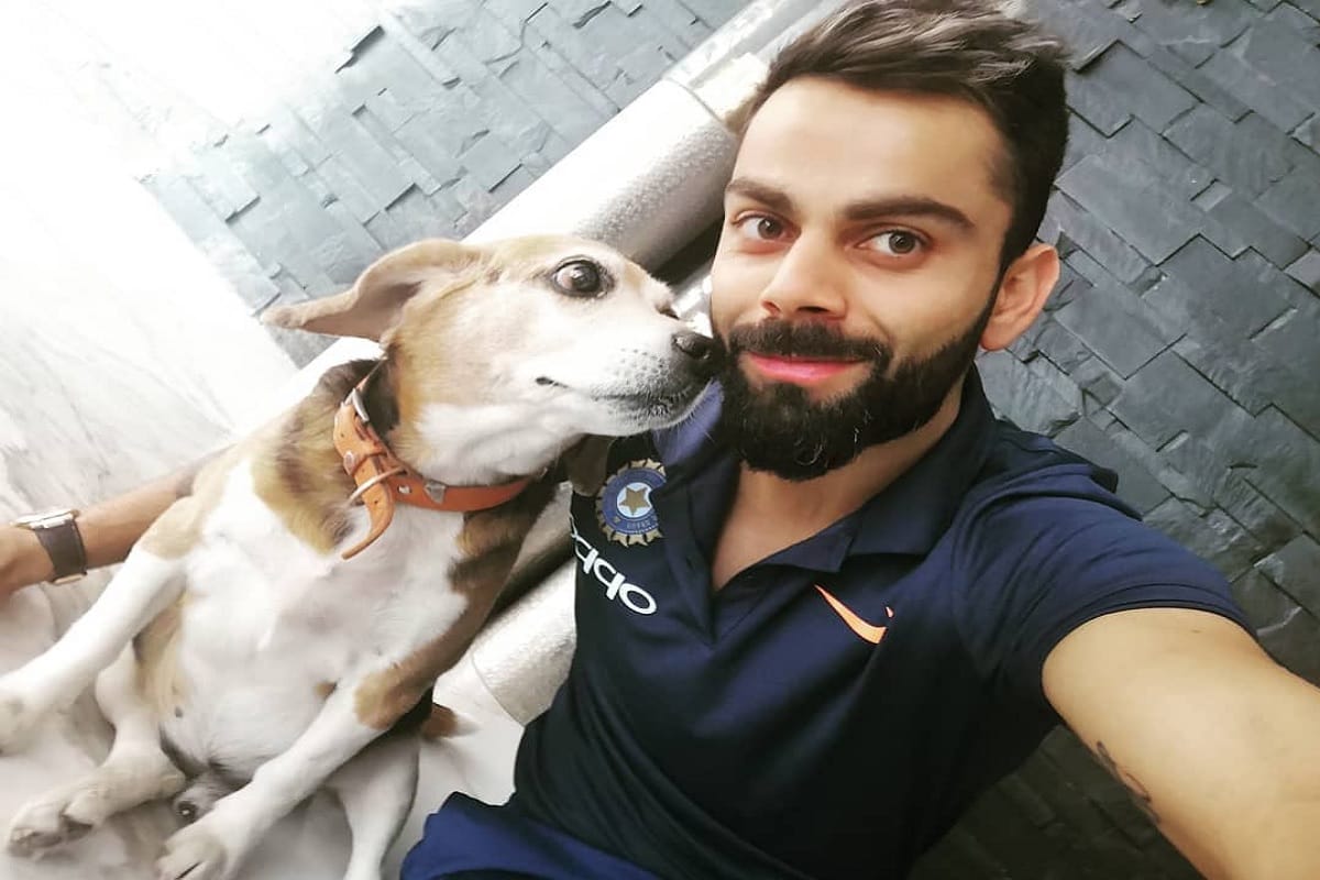 virat kohli share a photo with his pet dog before 5th ODI at feroz shah kotla stadium
