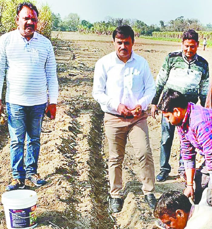 Farmers will be sown by new sowing of sugarcane