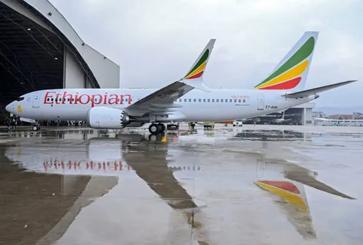 know why so important grounding 737 max jets know more details