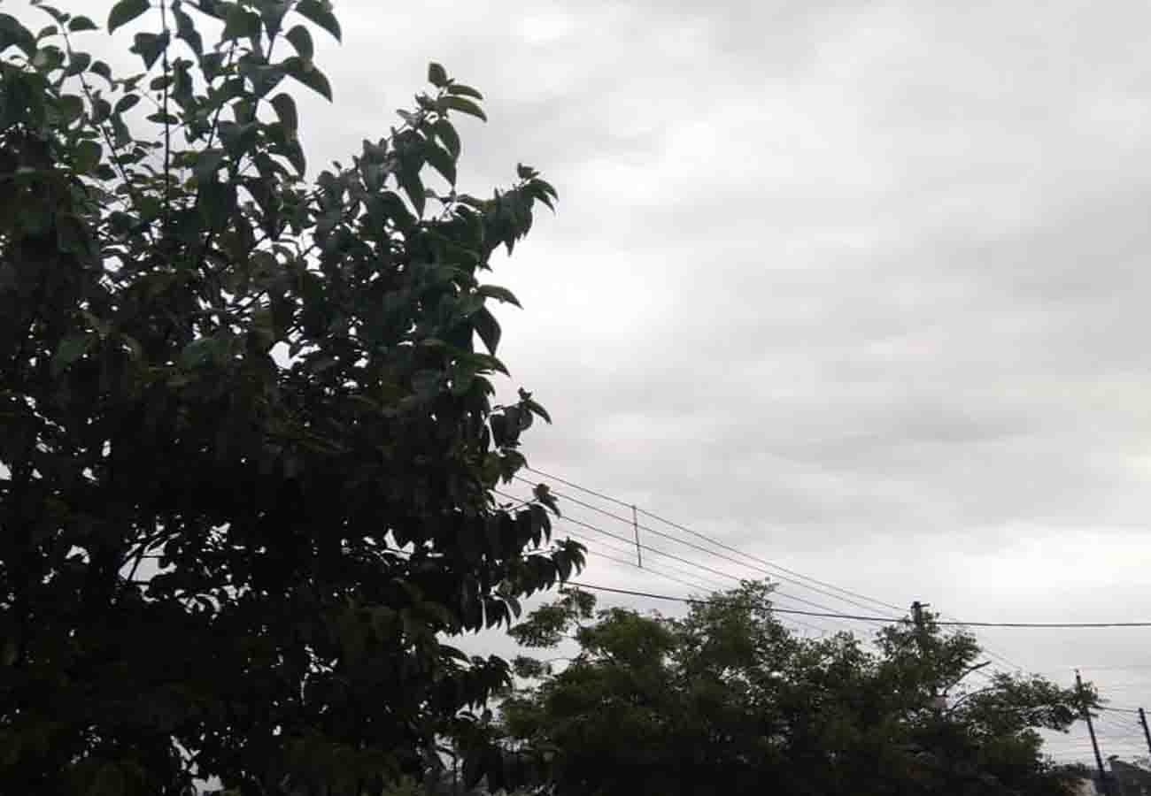 प्रतीकात्मक फोटो
