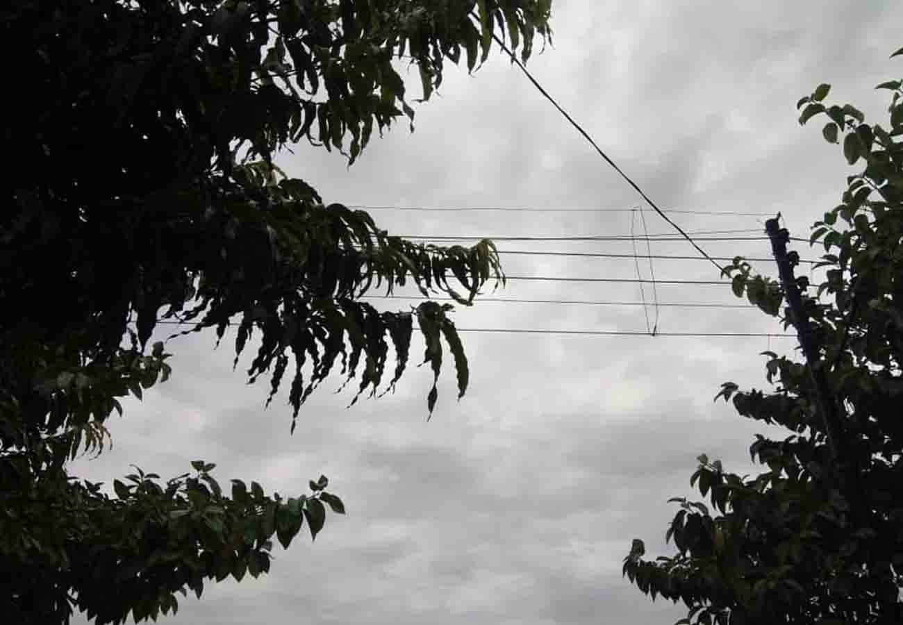 news update related to weather department