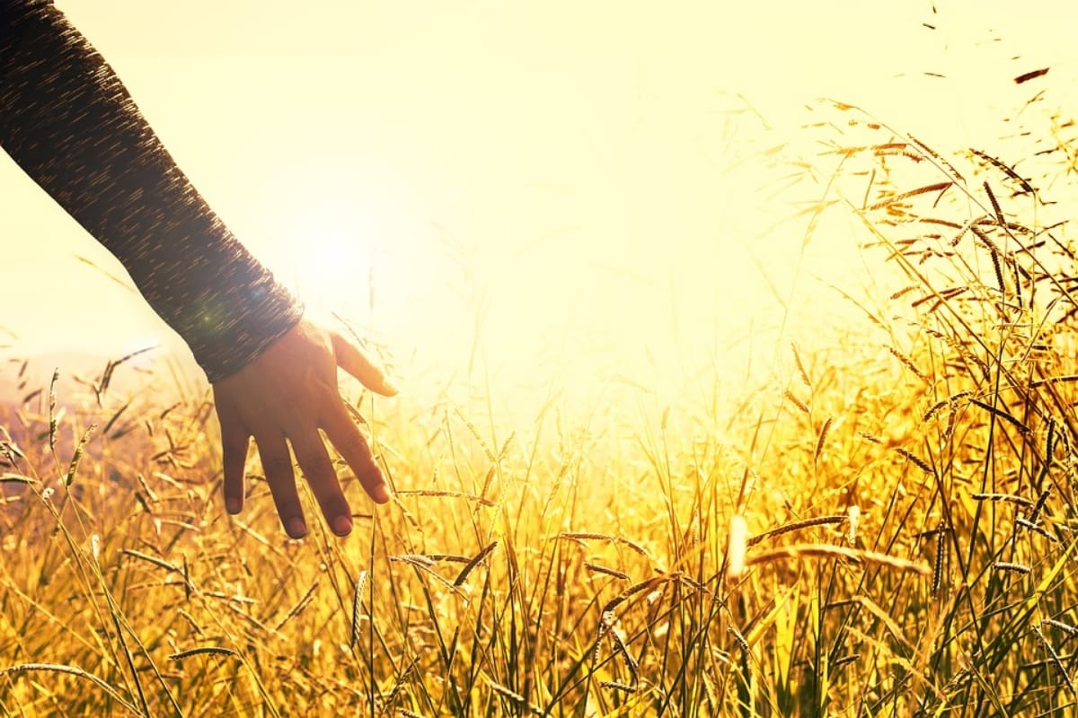 time spend in nature helps emotional boost Regina University research found
