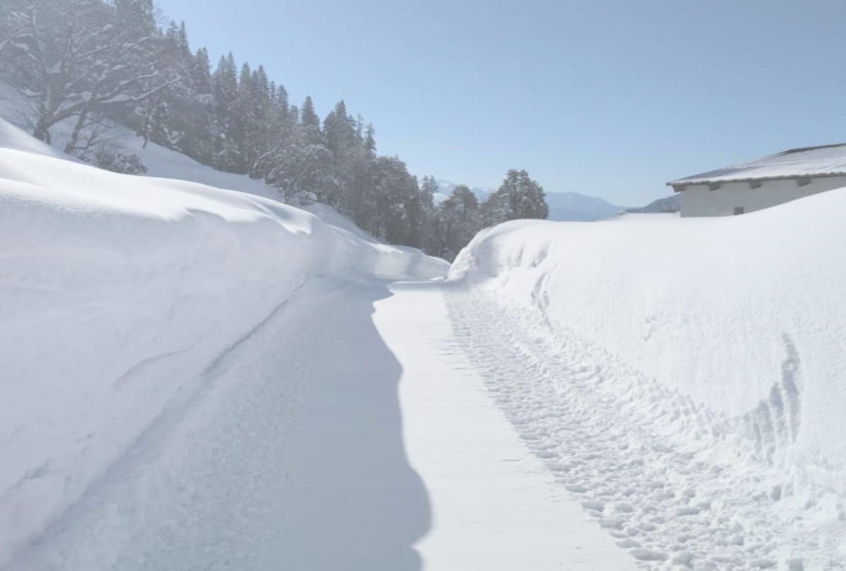 Minimum temperature below minus even in March in himachal