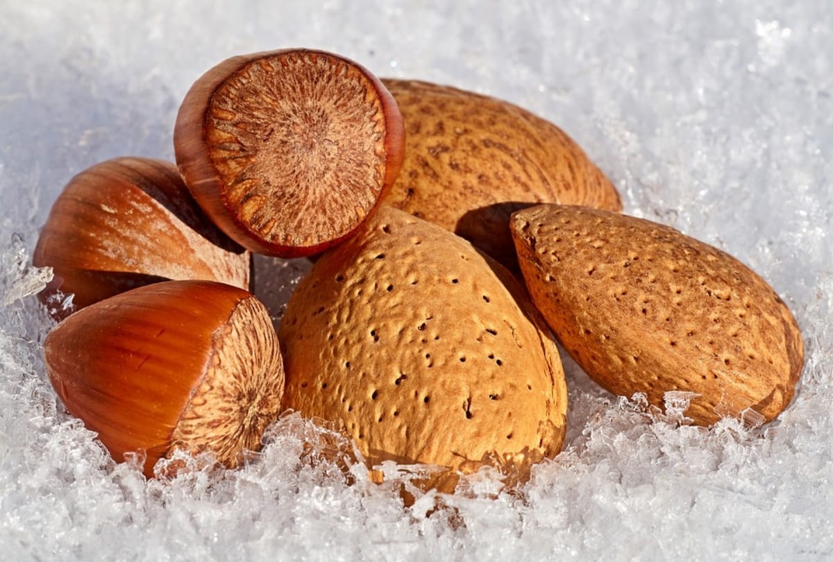 Almonds flour benefits for body badam ke aate ke fayde