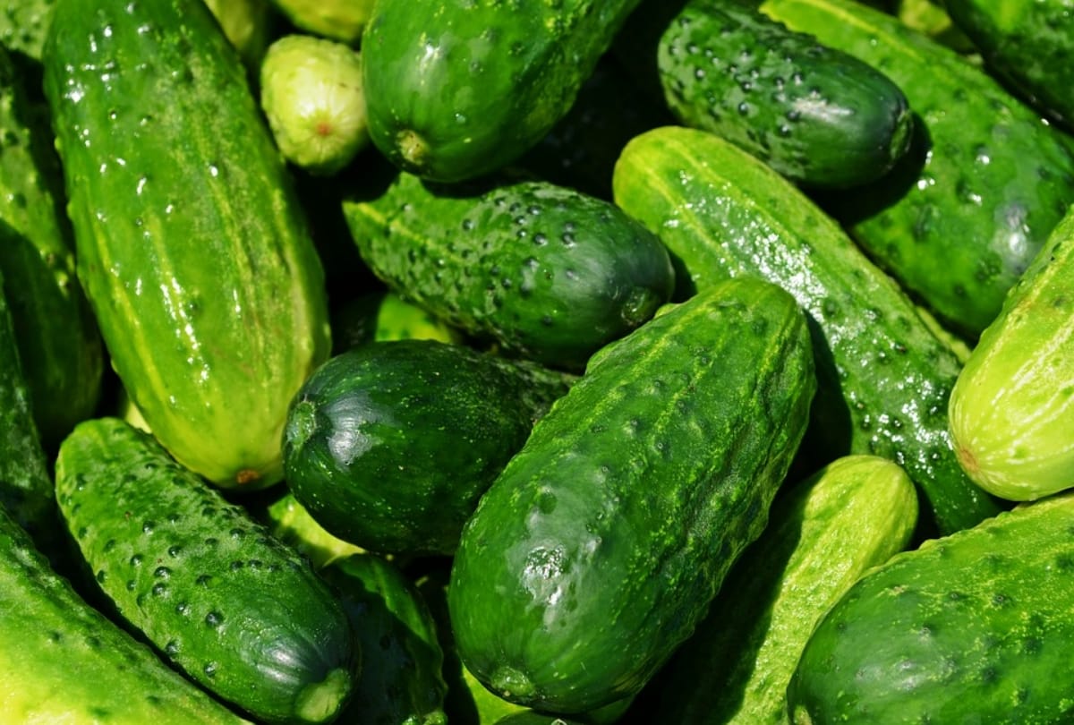 cucumber benefits and side effects in hindi kheera khane ke nuksan