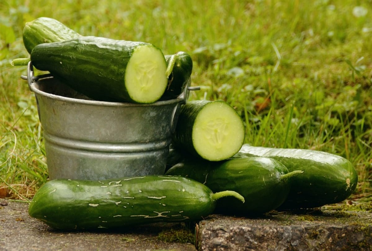 cucumber benefits and side effects in hindi kheera khane ke nuksan