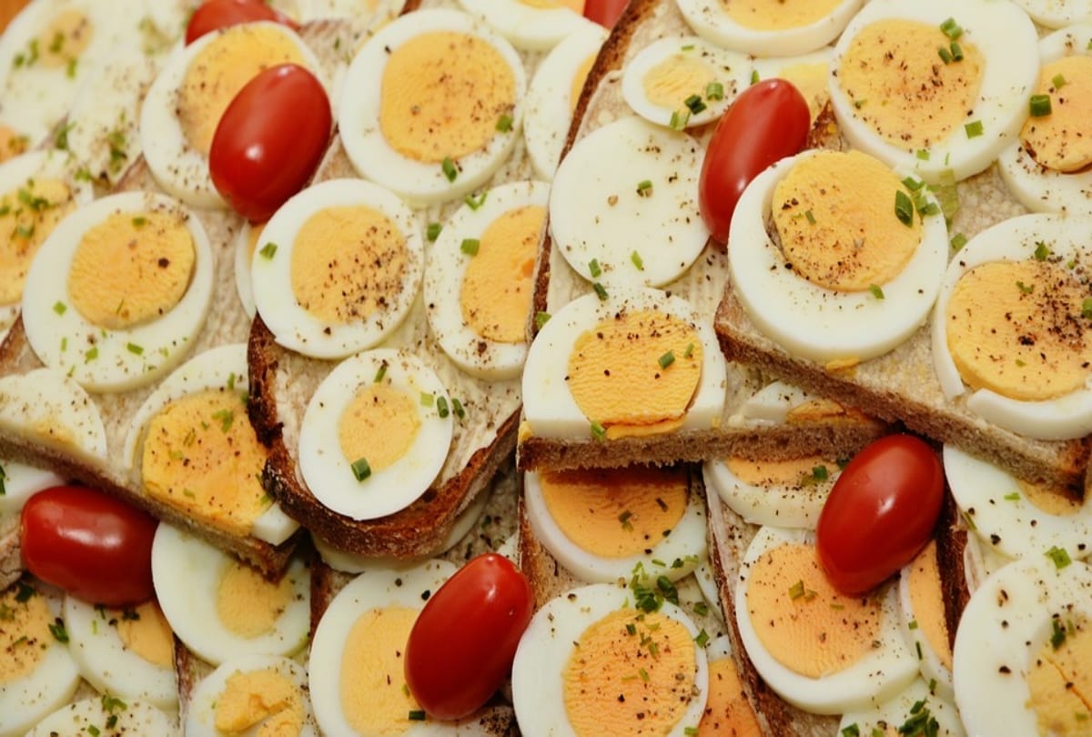 Egg is vegetarian or non vegetarian know solved mystery
