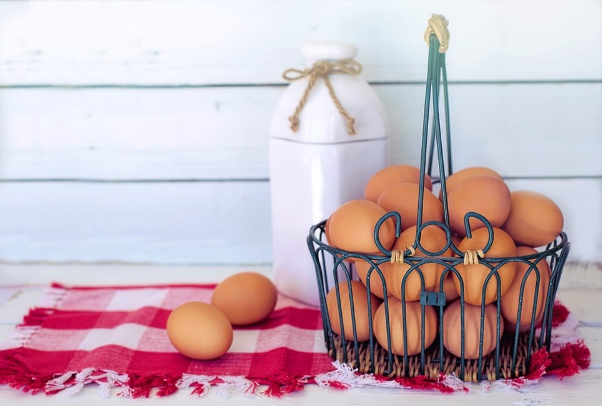 Egg is vegetarian or non vegetarian know solved mystery