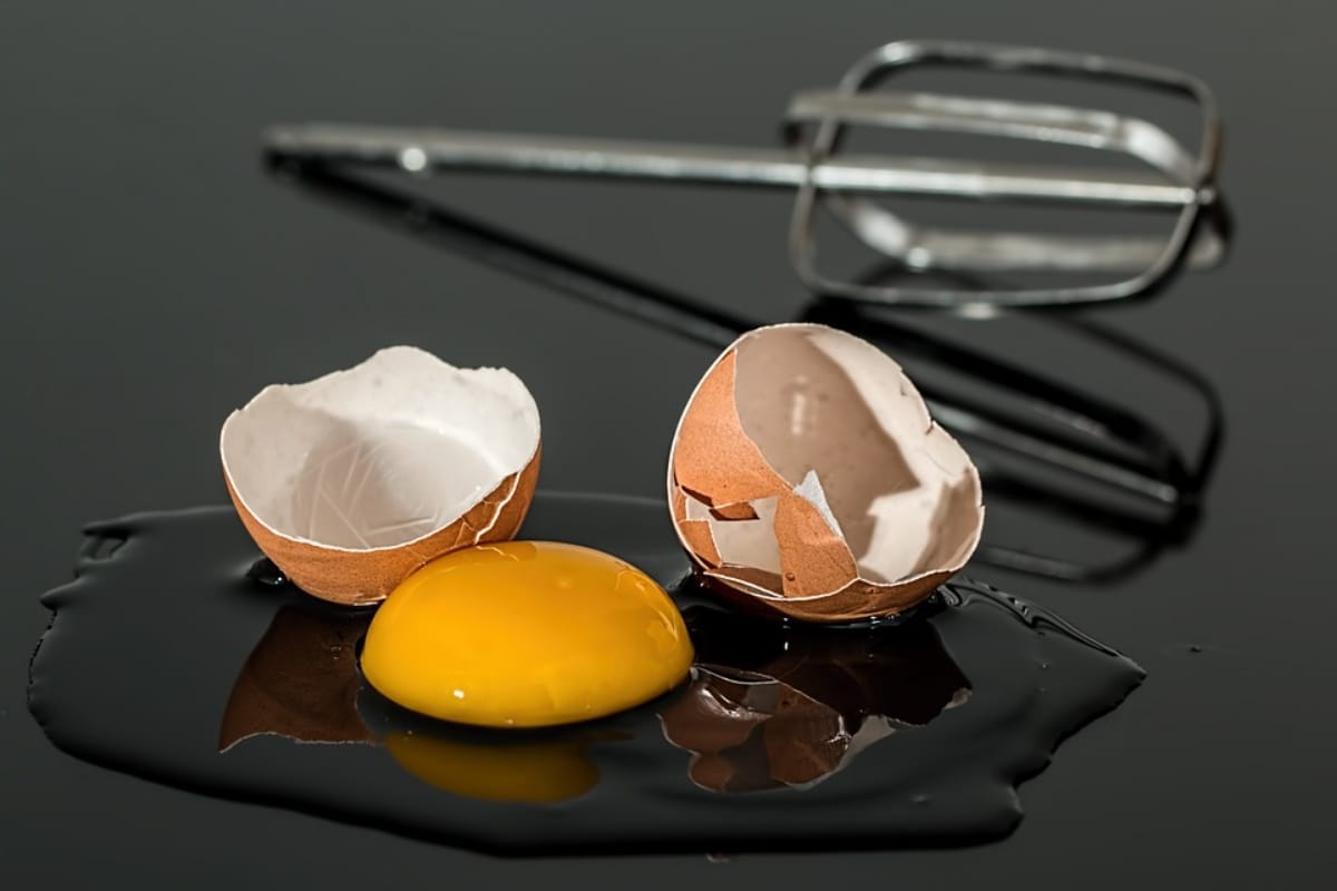 Egg is vegetarian or non vegetarian know solved mystery