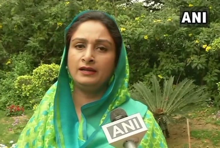 Lok Sabha Elections 2019, Harsimrat Kaur Badal Statement on Rahul Gandhi and Congress