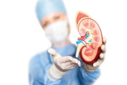 किडनी की बीमारियों को पहचानें (सांकेतिक)