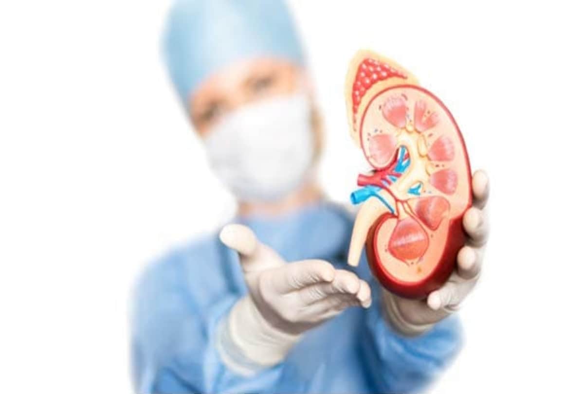 Sir Ganga Ram Hospital's doctors performed challenging 'Auto-Kidney Transplant', placed both on same side