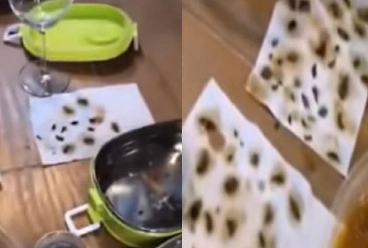 woman found 40 dead cockroaches in her online ordered food video goes viral