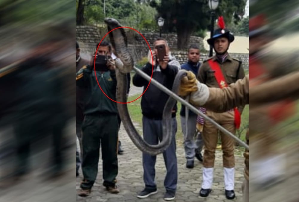 Cobra Found in Raj Bhavan near Governor Room in dehradun