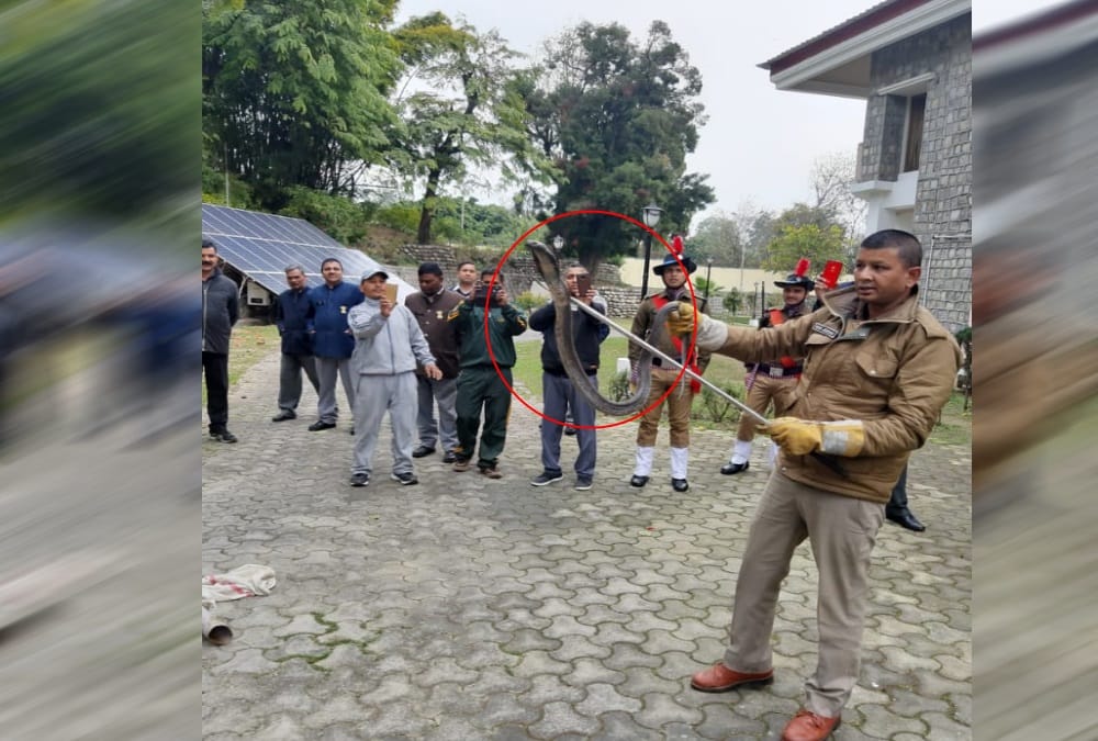 Cobra Found in Raj Bhavan near Governor Room in dehradun