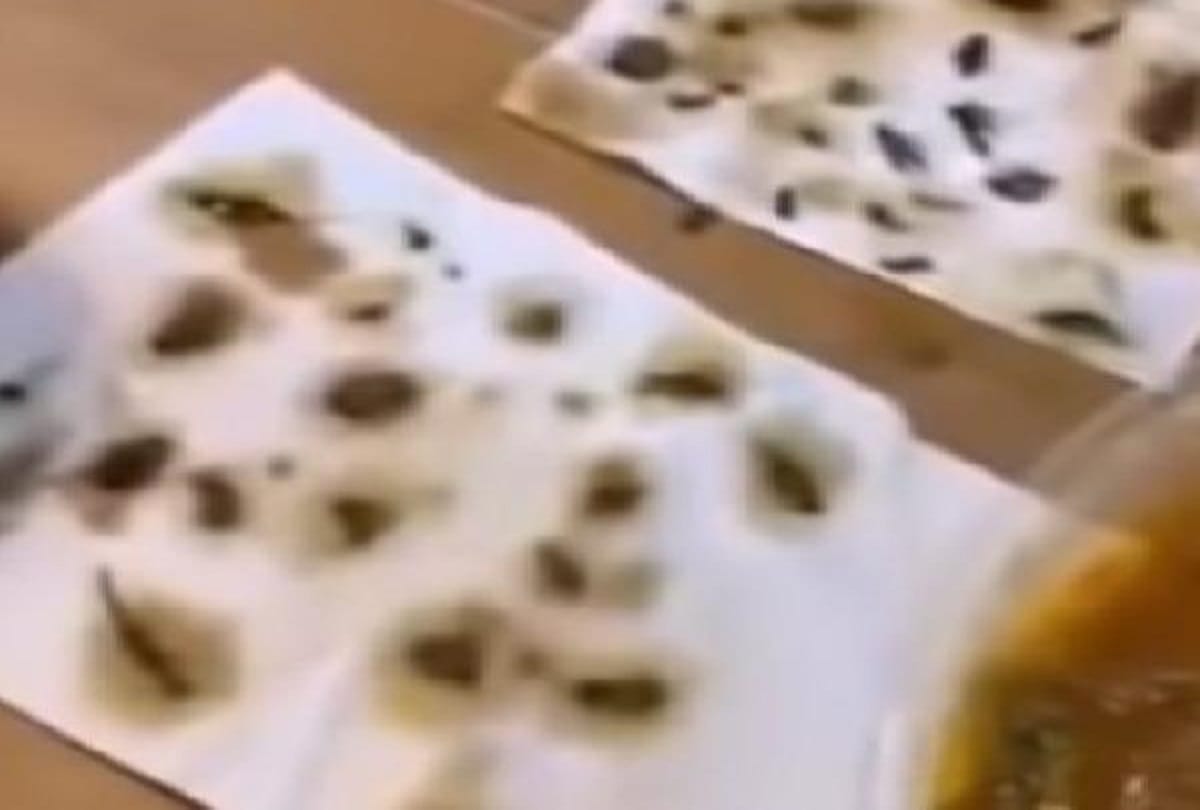 woman found 40 dead cockroaches in her online ordered food video goes viral