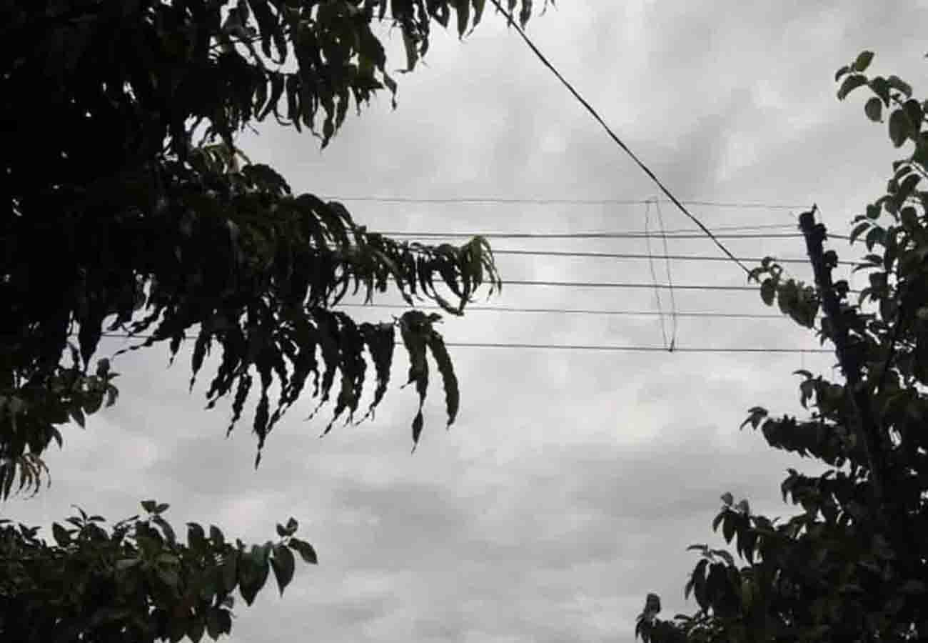 news update related to weather department in these cities of up