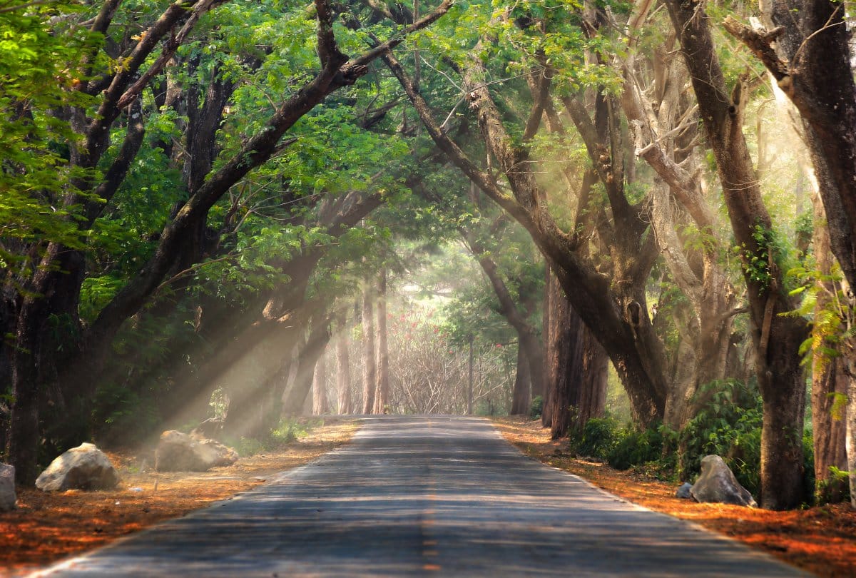 honeymoon best destination coorg andaman island khajiar
