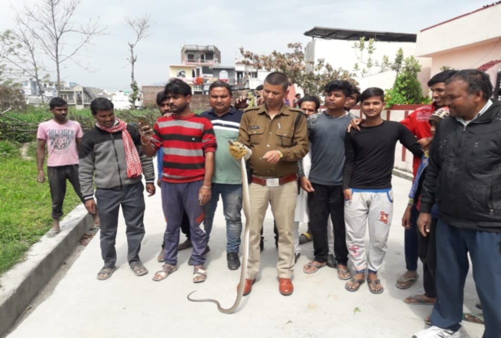 Cobra Found in Raj Bhavan near Governor Room in dehradun