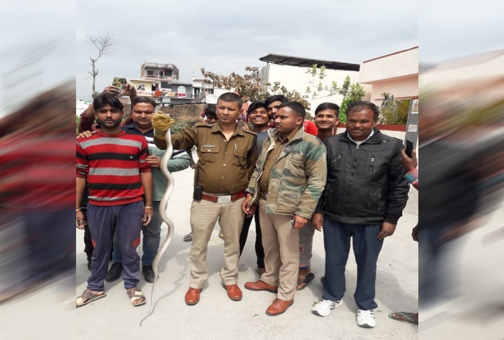 Cobra Found in Raj Bhavan near Governor Room in dehradun