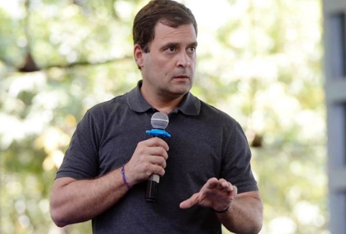 Swara Bhaskar impressed with congress president rahul gandhi