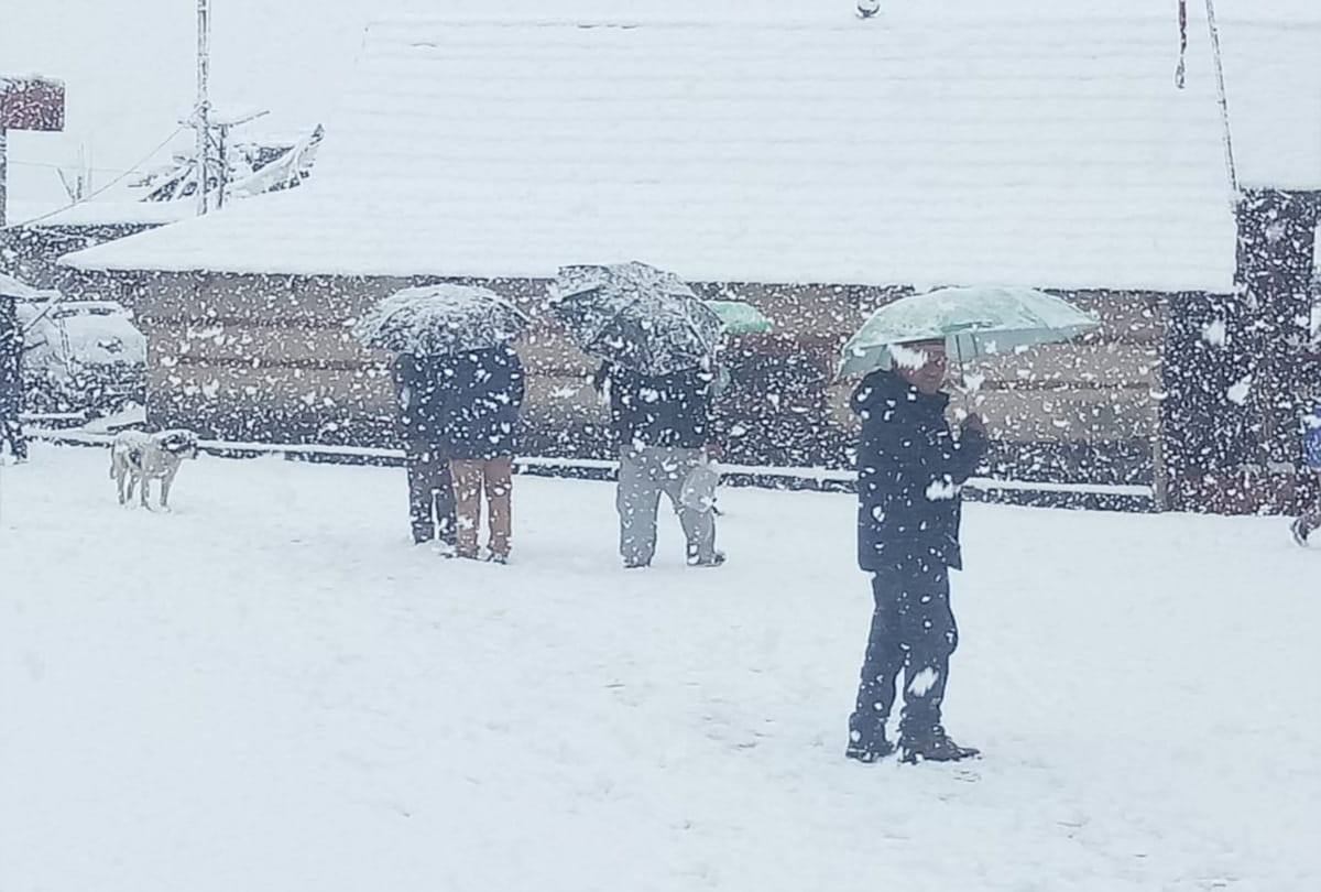 fresh snowfall recorded in the high hill of himachal pradesh