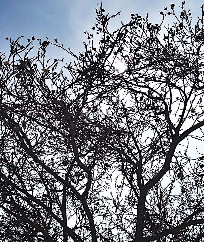 to see cloud and rain farmera worries