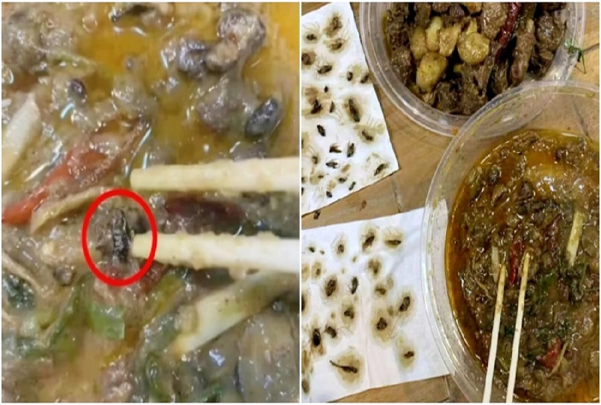 woman found 40 dead cockroaches in her online ordered food video goes viral