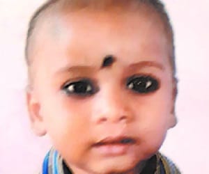 dog killed to child