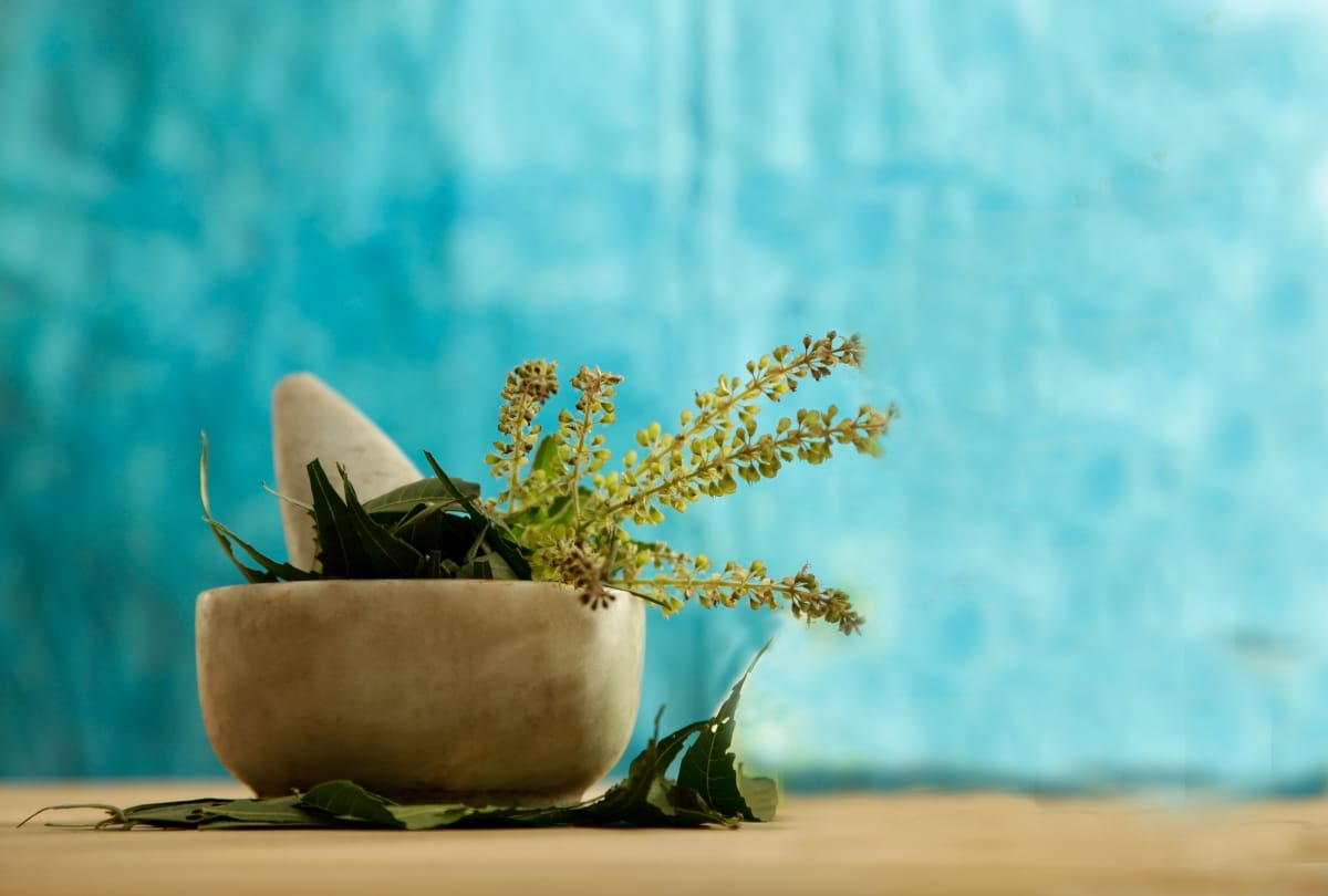 5 amazing baba ramdev ayurvedic ingredients to cure diseases 