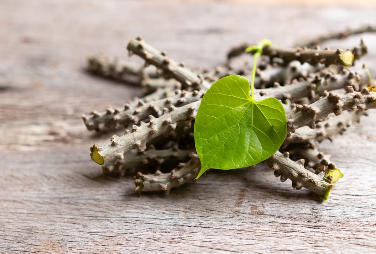 5 amazing baba ramdev ayurvedic ingredients to cure diseases 