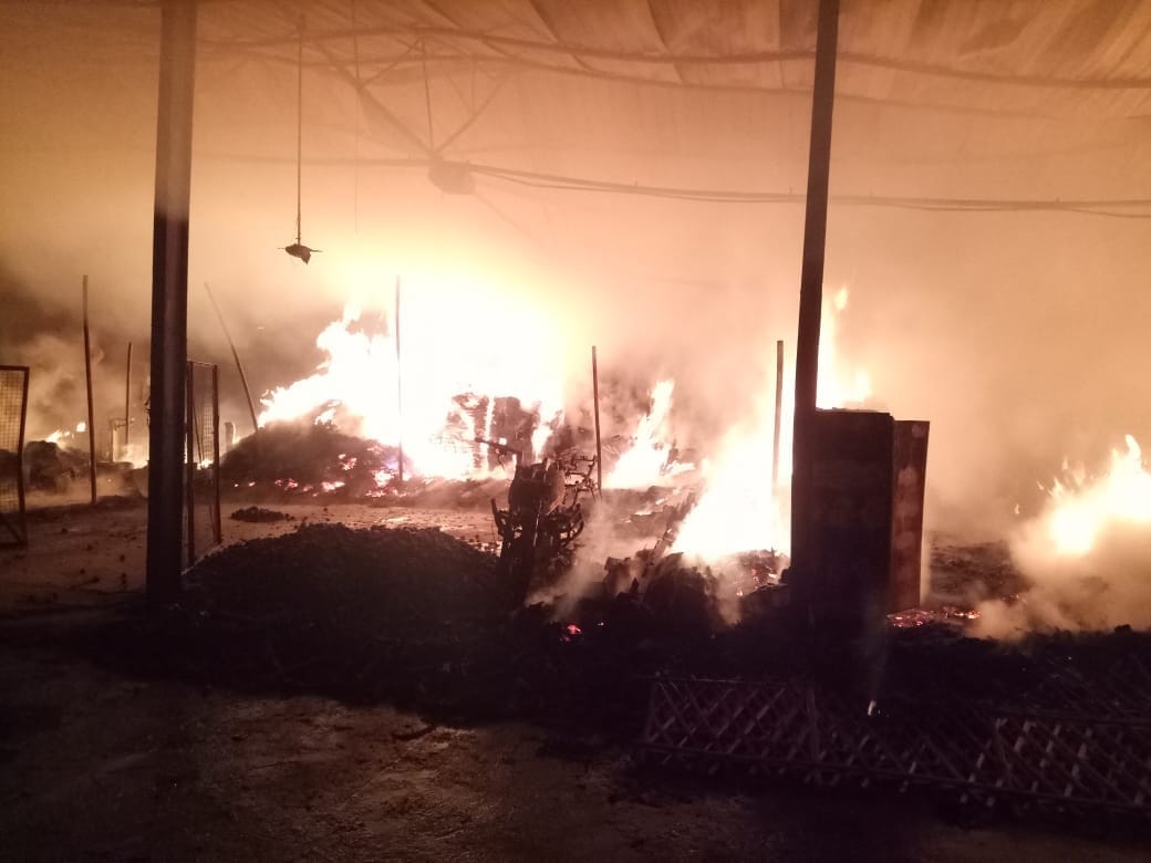 Fire broke out in dehradun three factory at midnight