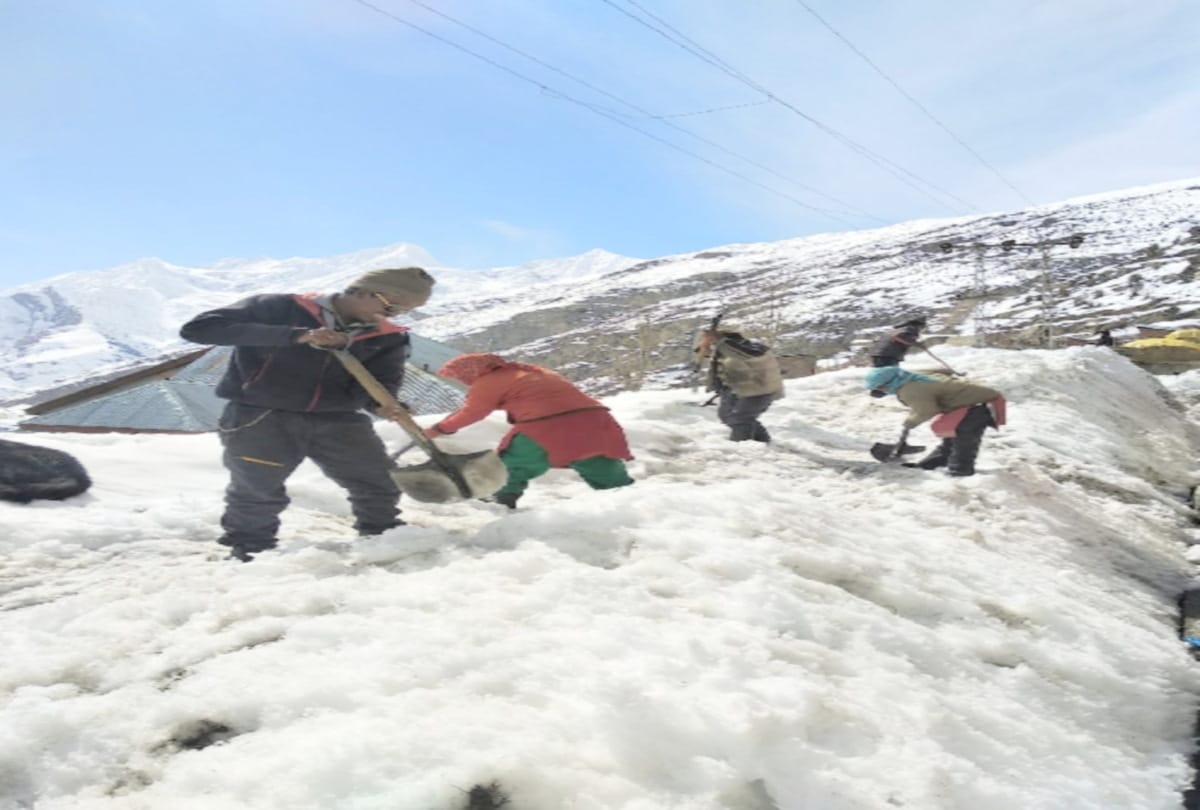 now blue colour ice will be used in Commercial use in jammu, jammu kashmir news