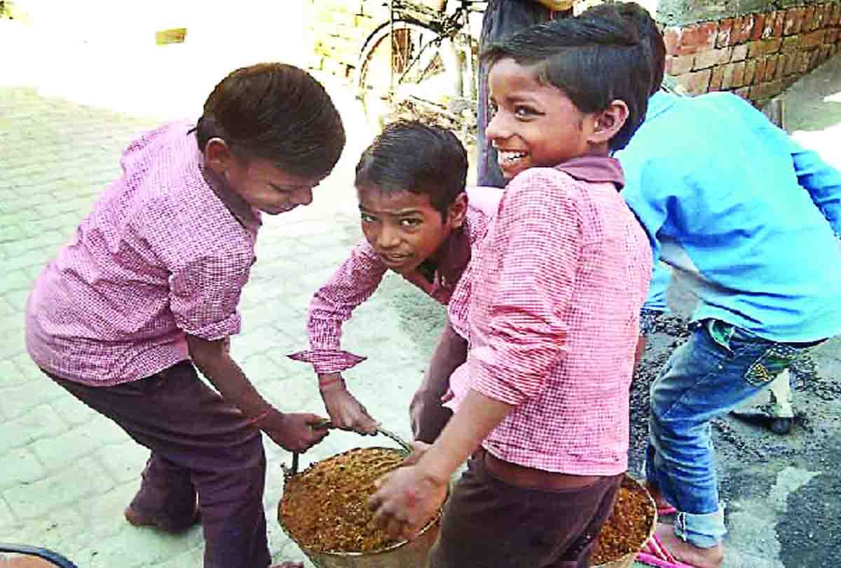 primary school student lift cow dung