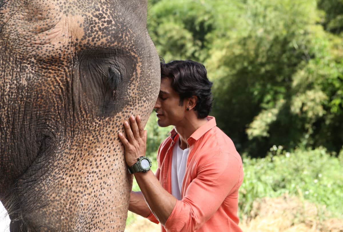 Action star Vidyut Jammwal Will Be Seen In Khuda Hafiz a Bollywood romantic action thriller