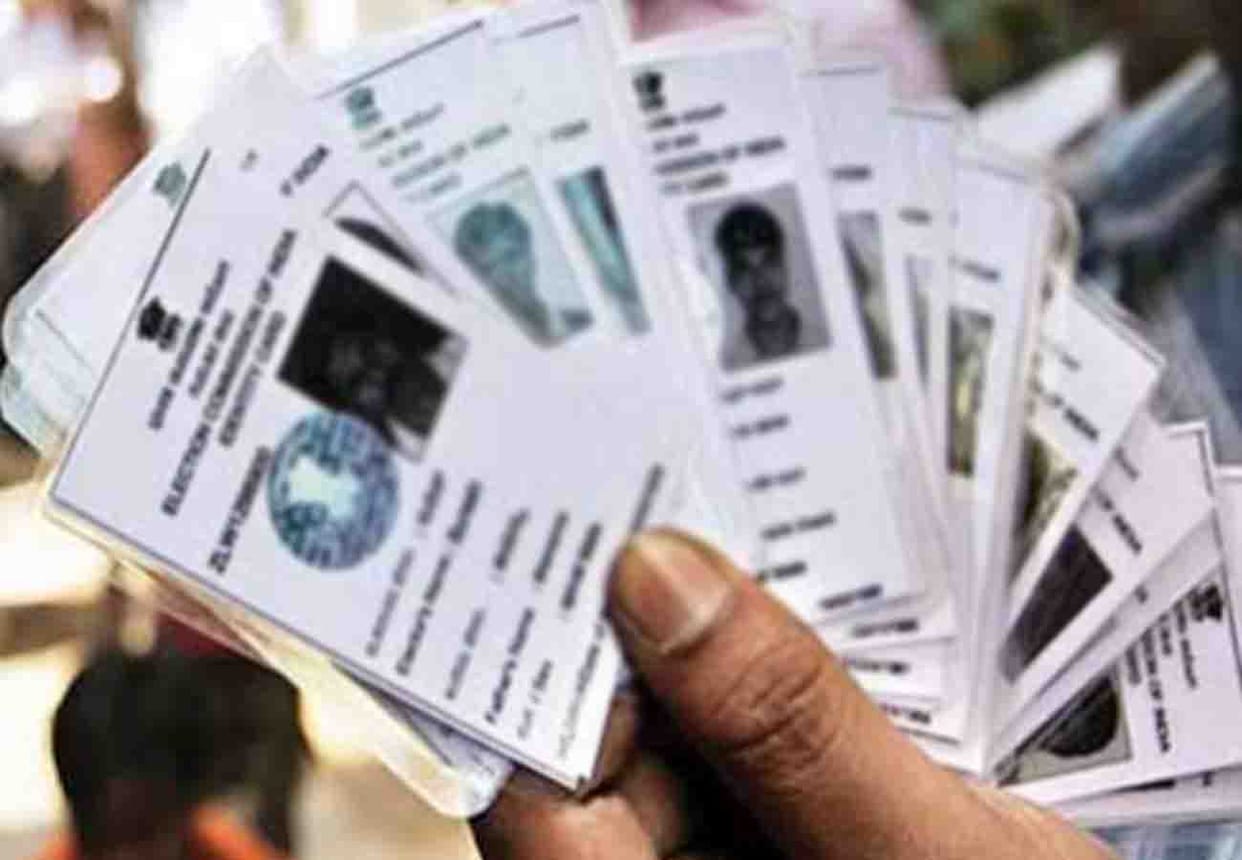 news related to youth voters and lok sabha election 2019