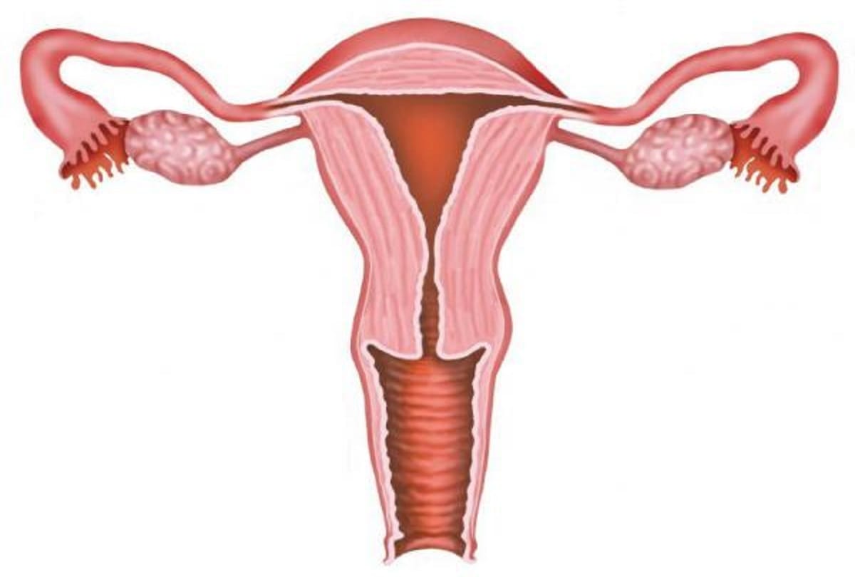 Doctors remove uterus from Fifty year old man Sharif Ali in Hardoi Uttar Pradesh
