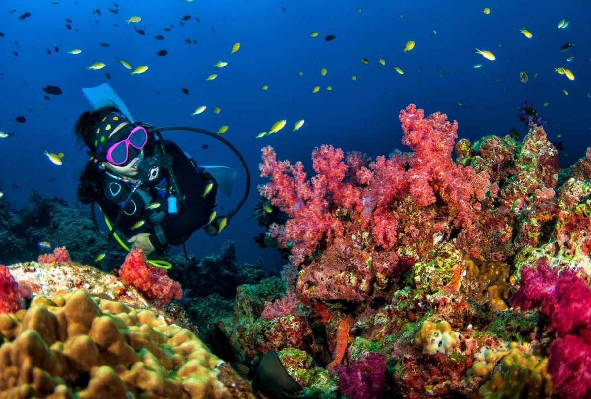 Irctc offering 5 days and 4 nights andaman nicobar tour package