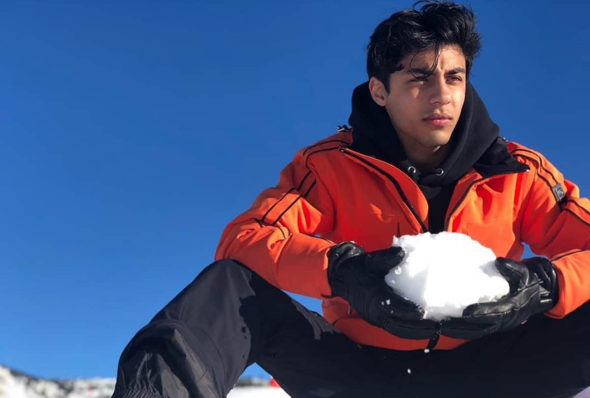 shah rukh khan son aryan khan share pictures from france
