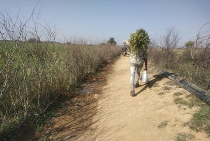 problems of bundelkhand region in hindi crisis of drinking water and health facilities